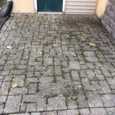 Soft Wash Siding and Power Wash Fence and Patio in Warwick 2